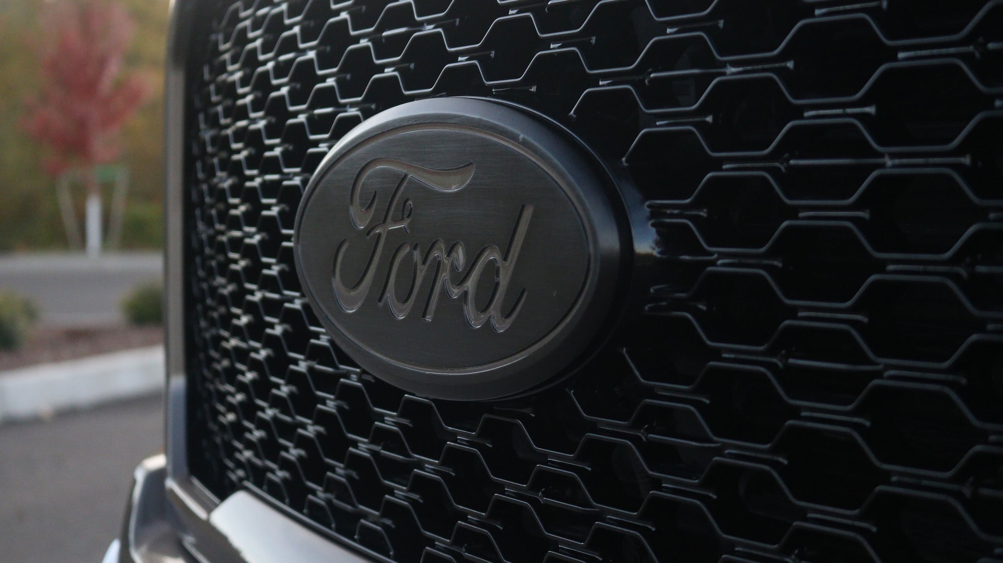 Front Grill Oval Ford Emblem - Ford F150 Forum - Community of Ford Truck  Fans