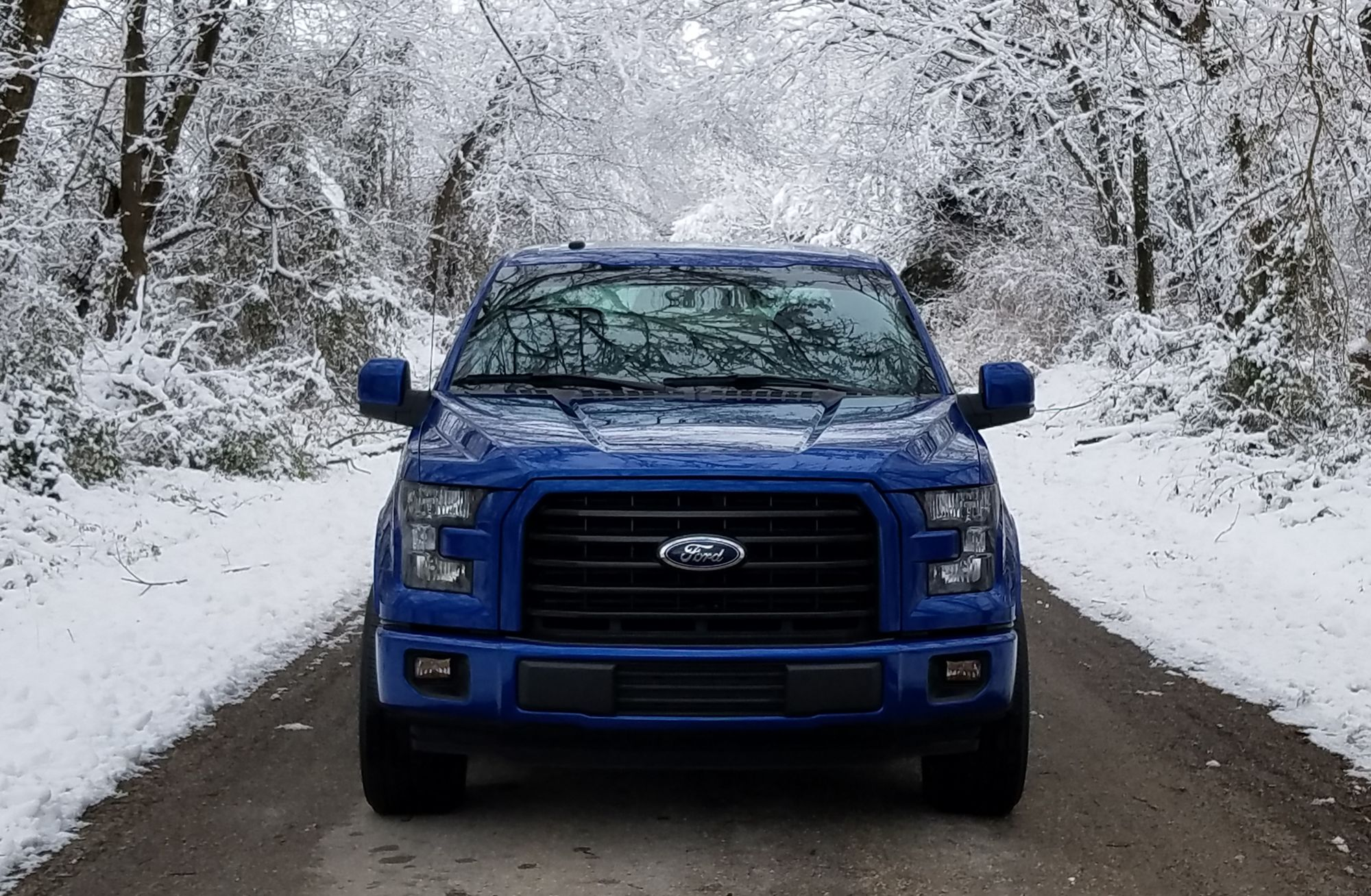 Vote: February 2019 Truck of the Month!!! - Ford F150 Forum - Community of Ford Truck Fans