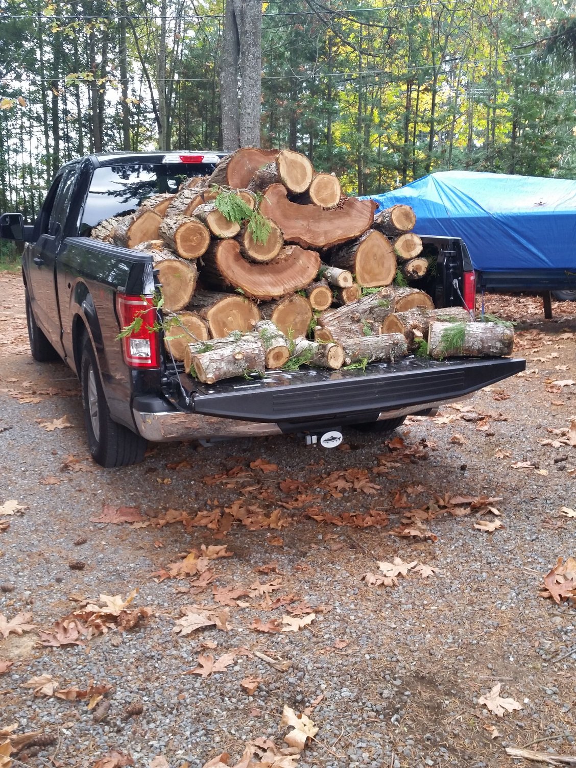 How much weight can my '15 F150 REALLY carry in the back? Ford F150