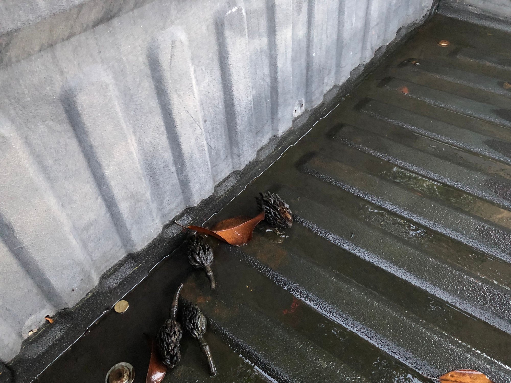 Drill drain holes in bed Ford F150 Forum Community of Ford Truck Fans