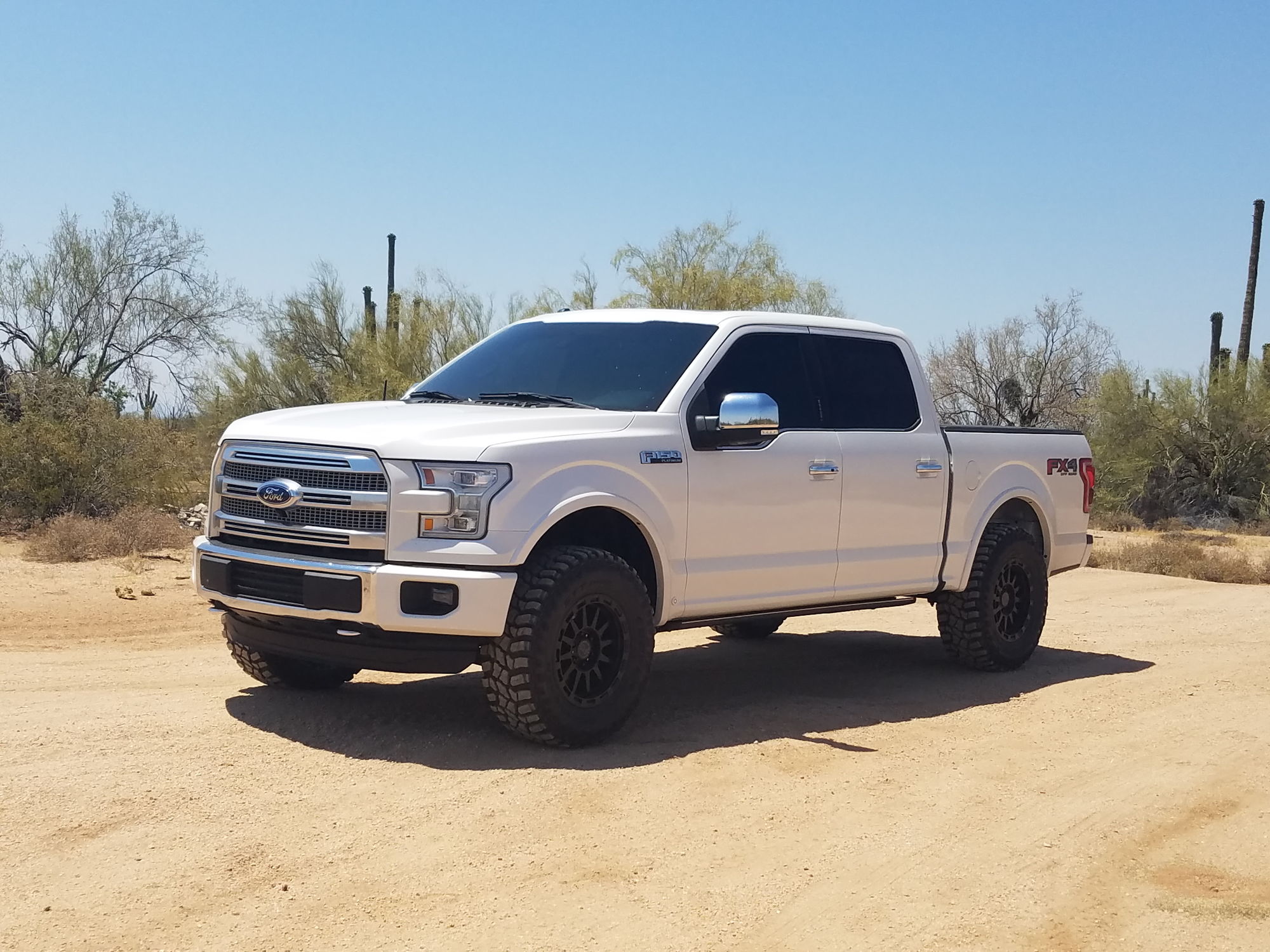 View 2019 F150 Platinum Leveled Pictures