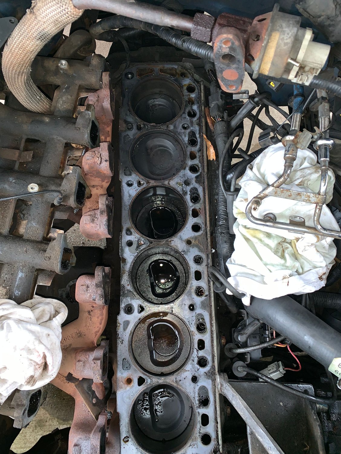 Head Gasket Problems? Ford F150 Forum Community of Ford Truck Fans
