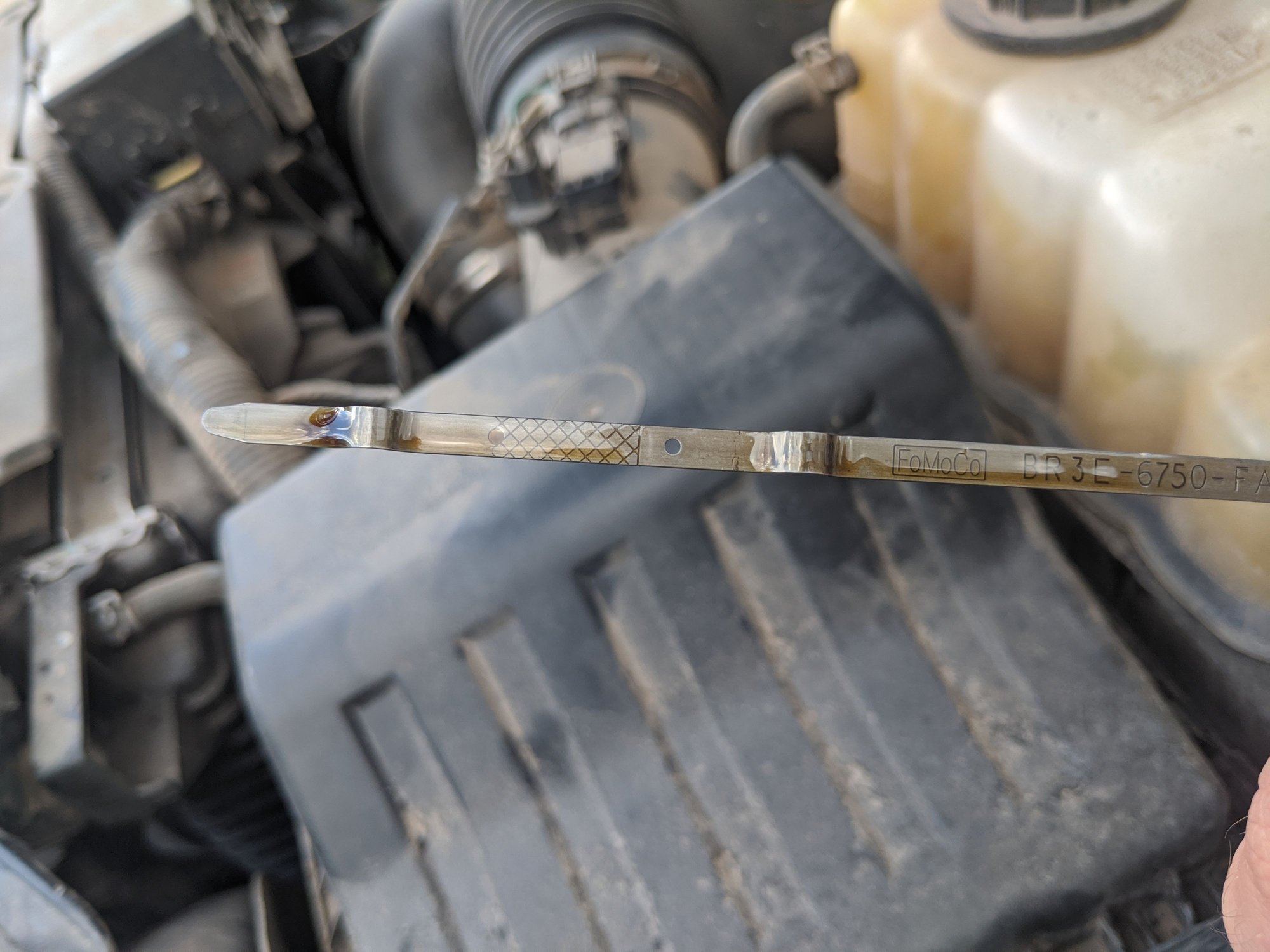 2013 Ford Fusion Transmission Fluid Dipstick Location