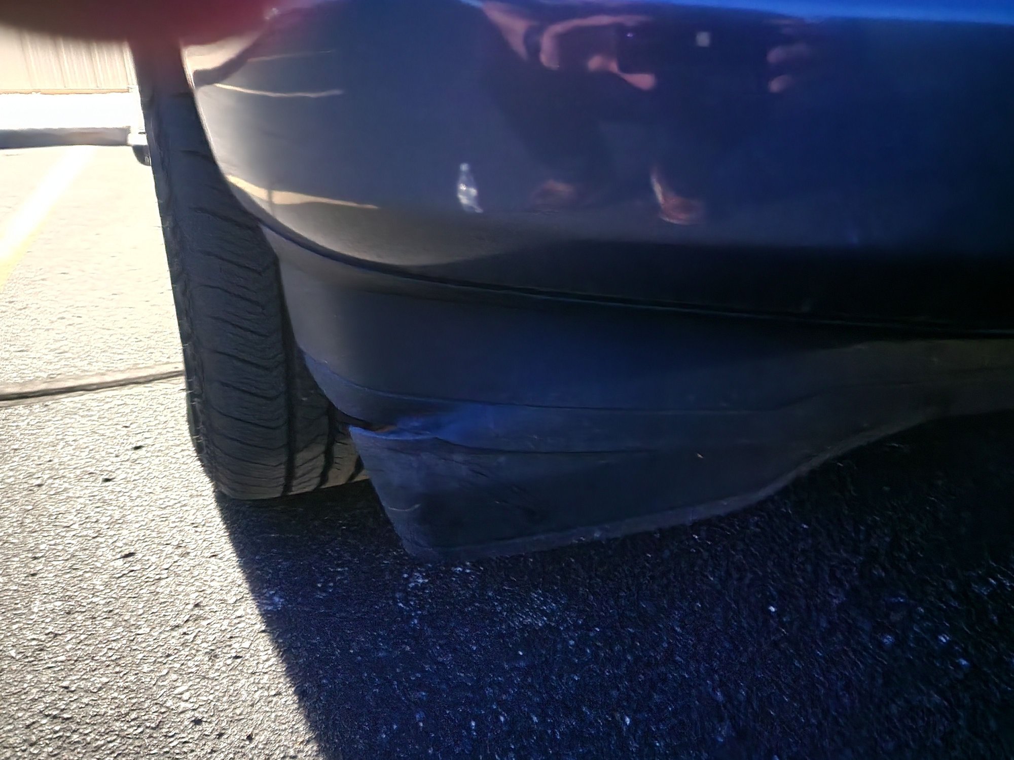 Attack of the trash panda.... Ford F150 Forum Community of Ford