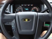 Interior Image 
Bio-hazard steering wheel emblem
