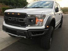 2018 Raptor Style Grill