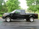 The "Black Stallion"
