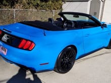 New Mustang