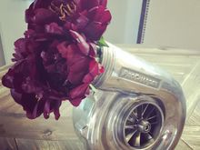 A vase...for now.