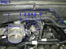2002 F150 5.4L Throttle Body Removal