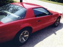 my 89 firebird