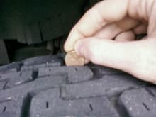 Back Tire
