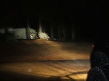 extreme white high beams