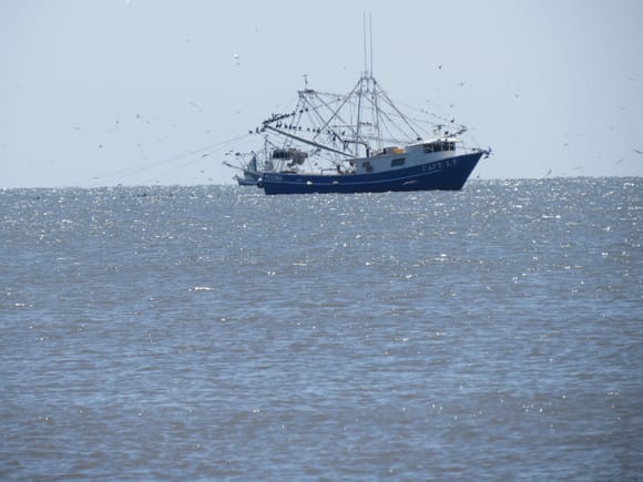 Shrimpers working out in the Gulf.