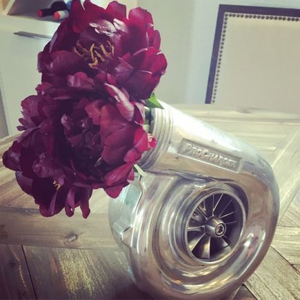 A vase...for now.