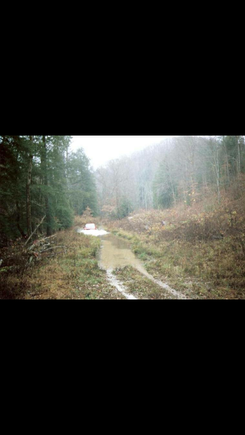 West Virginia muddin 2004