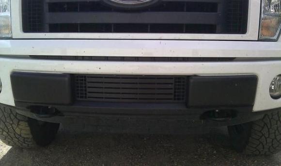 Bumper Insert