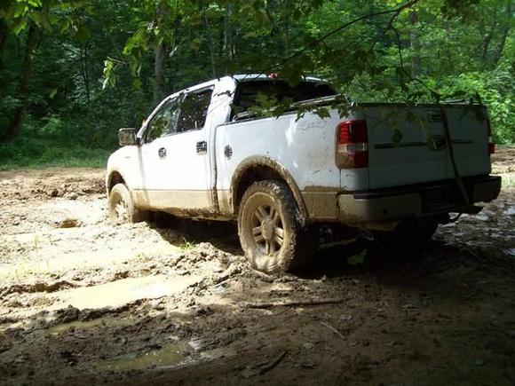 Ford4Evrer stuck