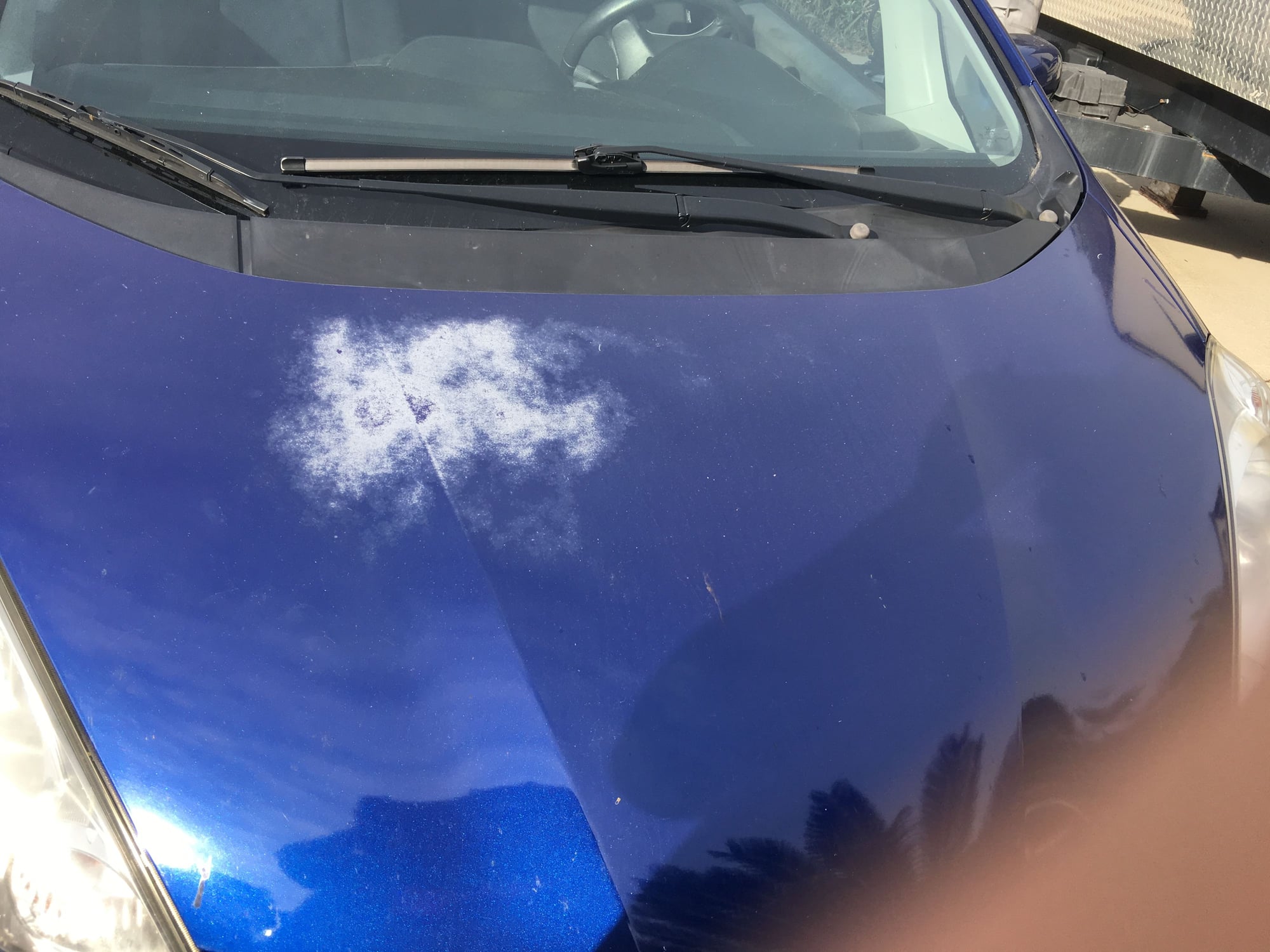 Paint/Clear Coat fading on blue '09 Fit - Unofficial Honda FIT Forums