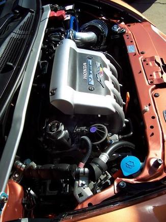 Engine bay; Red valve cover ???? Humm!!