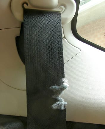 2016 Honda Fit, Rear seat driver's side seatbelt is frayed.