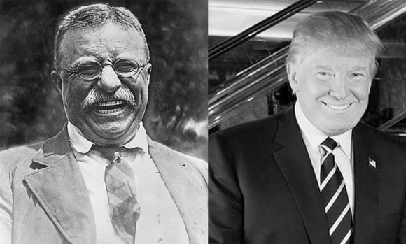 This president is who our new president reminds me of.

Theodore Roosevelt  and Donald Trump.

1st time since President Ronald Reagan  that I've been really excited who is our president. 
President Trump is a team builder a true leader. 
Not another carpet bagger!