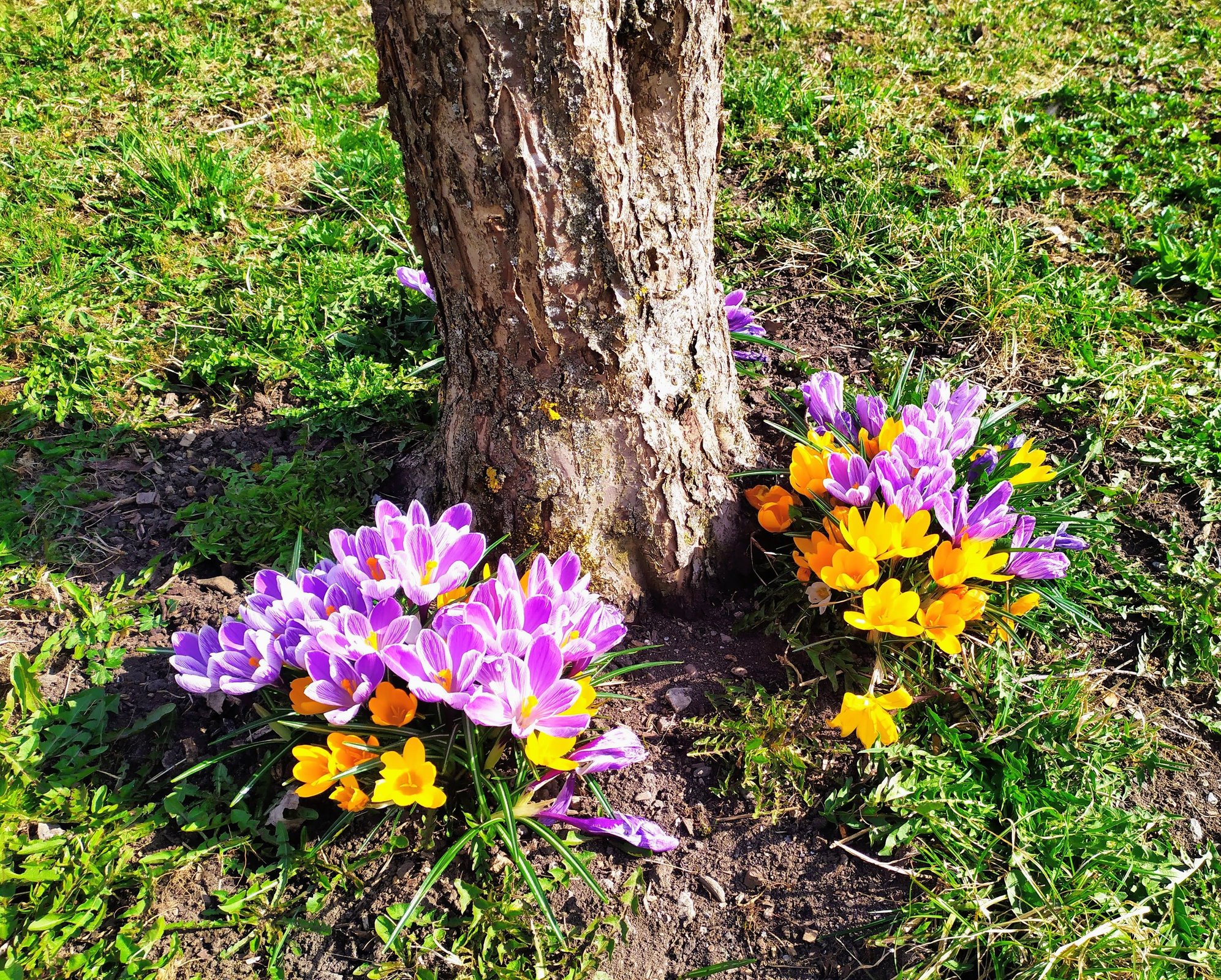It was already spring in Kandersteg, although there was still a lot of bad weather to come 