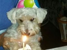 The birthday girl. ...different birthday though. 