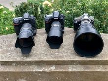 My three Amigos, down to just one pro body