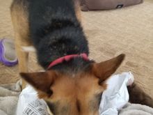 Nomnomnom