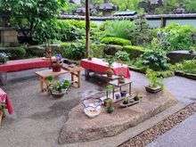 Some beautiful small plants and objects also