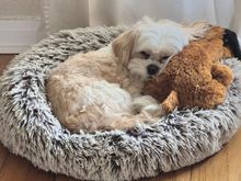 Sleeping on Felicia,  his girlfriend 