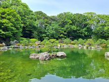 Japanese garden in ohori park
