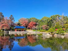 Japanese garden. Lots of small streams with the maple trees