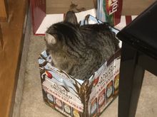 Fred has a box addiction.