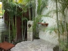 Outdoor jungle shower