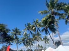 Port Douglas market - happier days