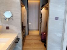 Master closet (and toilet)