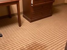 The mysterious carpet stain