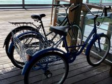 My blue tricycle vs. the regular bikes that are black or pink.  As mentioned earlier, I am an in adept senior citizen.  With balance issues and severe arthritis in my back and hips, the bike is very helpful to get around the resort, and I am very appreciative that the hotel came up with the ideal option for me.

As also mentioned in my initial post, I had already decided to let it go.  Thank you for all your kind comments.