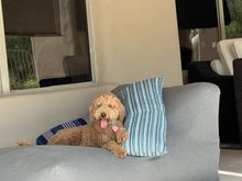  But getting some relaxation in, as well!