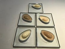 Pre dessert ice creams - almond , caramel , coffee & peppermint 