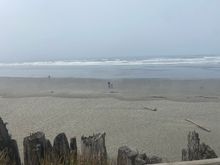 Kalaloch beach