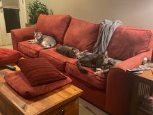 It’s our couch lady.  Keep moving.