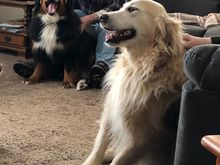 Skylar and Garth
