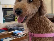 Thought I better add this to show that she wasn’t really as sad as she looked above! 