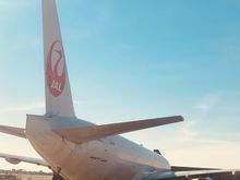 About as close as you can get to a JAL 777 without being on the ground 