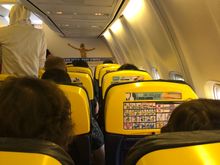 The sea of yellow 🙃