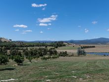 The Yarra valley wine region.

