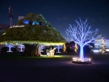 Tree with a carriage ( you can sit in it). it had a regular light show with mist